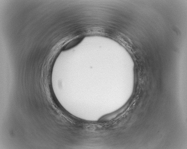 X0000115420193200912011333