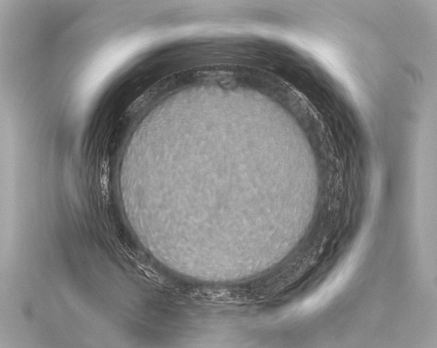 X0000115420194200912011333