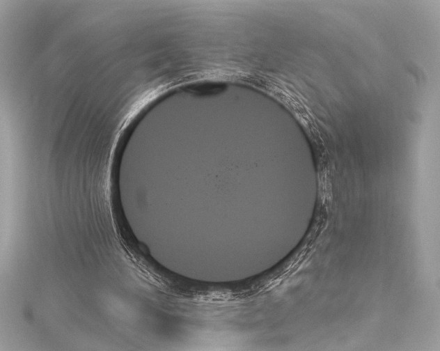 X0000115420196200912011333