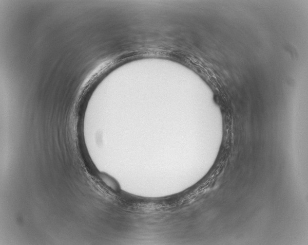 X0000115420197200912011333