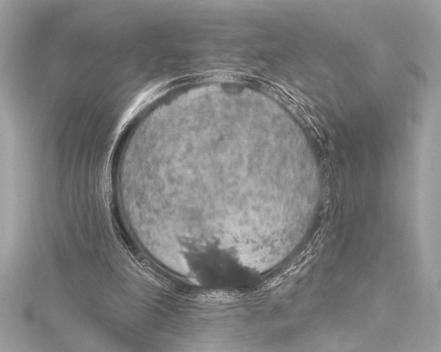 X0000115420198200912011333