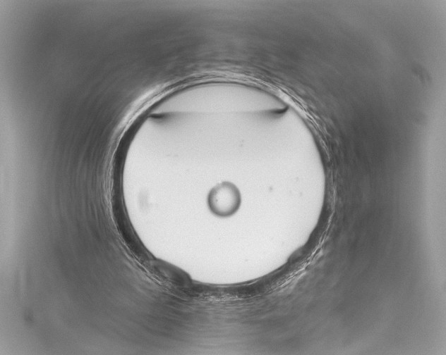 X0000115420199200912011333