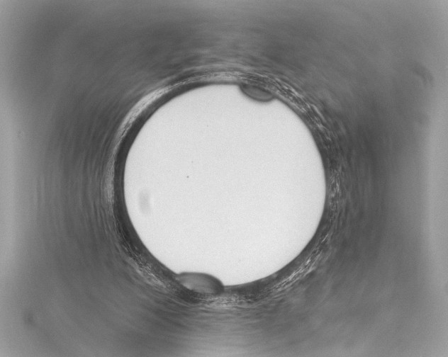 X0000115420200200912011333