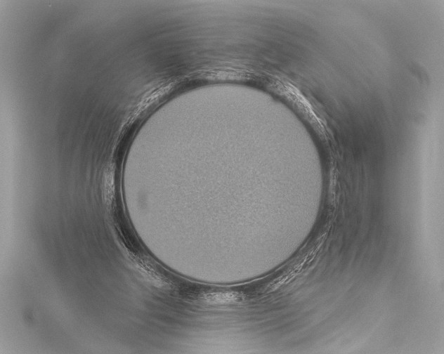 X0000115420202200912011333