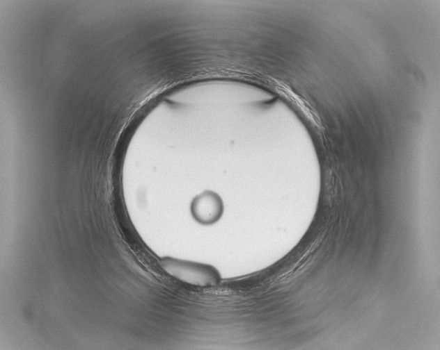 X0000115420203200912011333