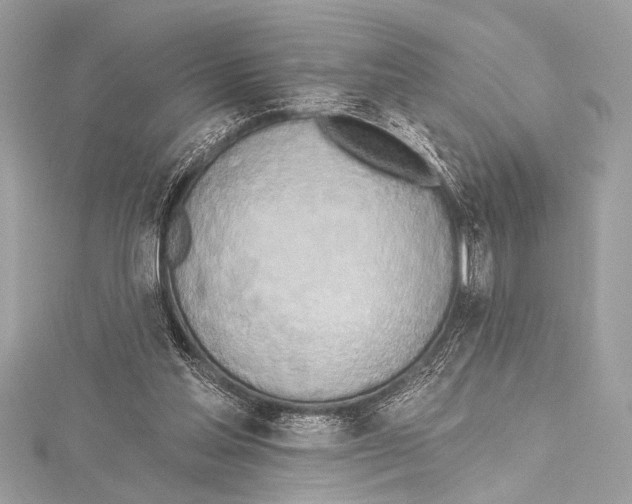 X0000115420205200912011333