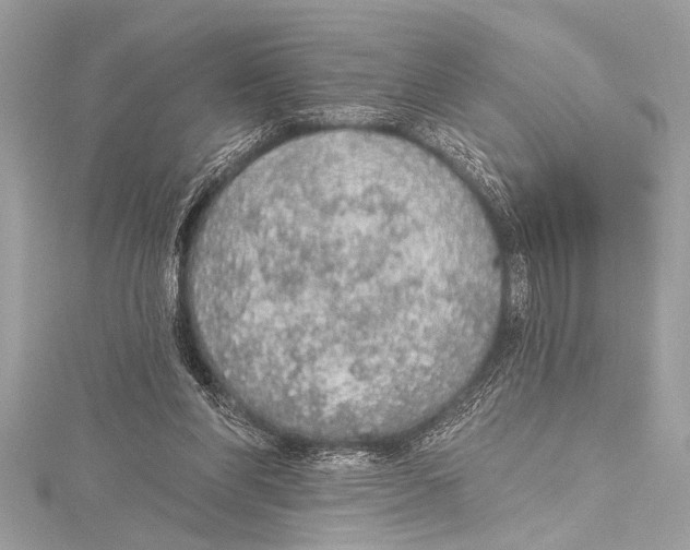 X0000115420206200912011333