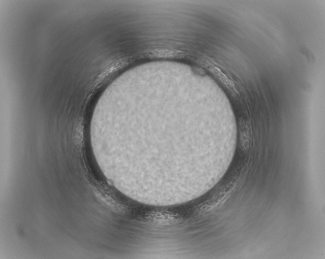 X0000115420207200912011333