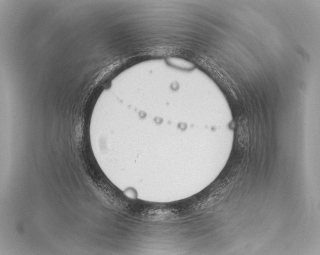 X0000115420208200912011333