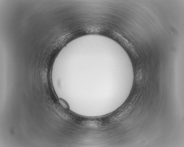 X0000115420209200912011333