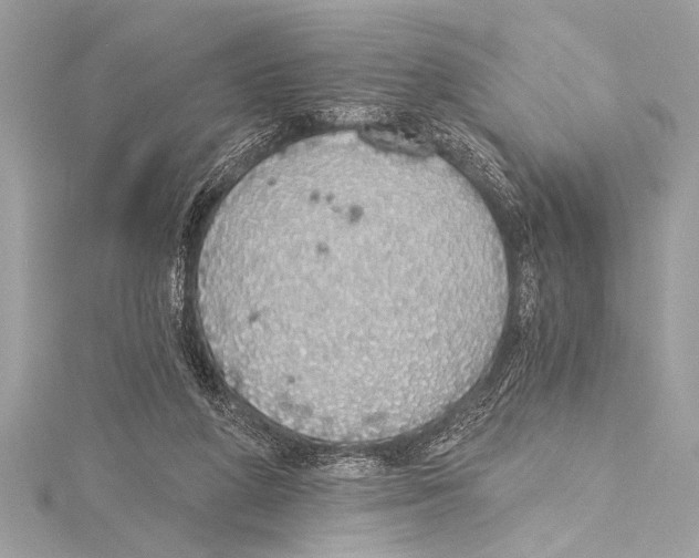 X0000115420210200912011333