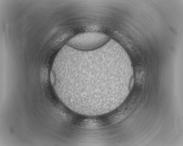 X0000115420211200912011333