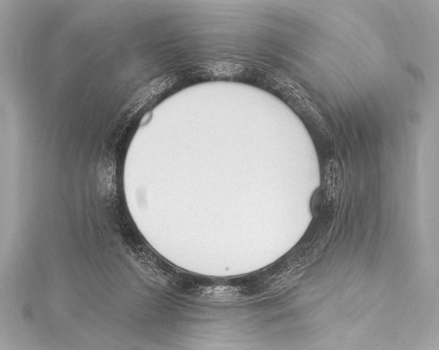 X0000115420212200912011333