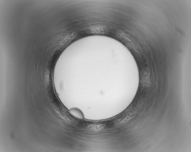 X0000115420213200912011333