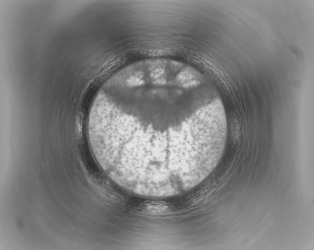 X0000115420214200912011333