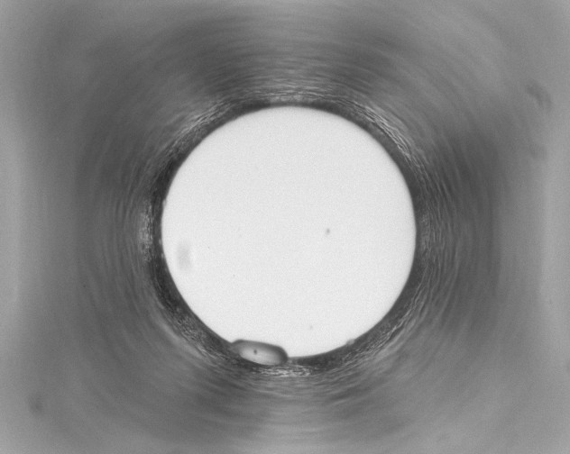 X0000115420215200912011333