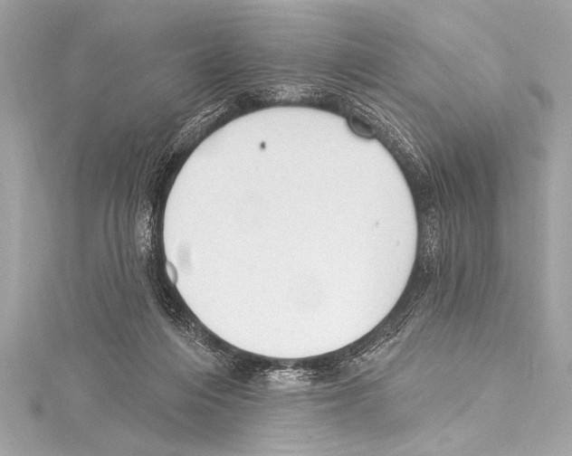 X0000115420216200912011333