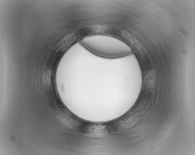 X0000115420217200912011333