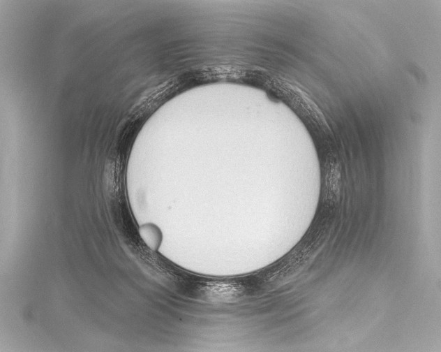 X0000115420218200912011333