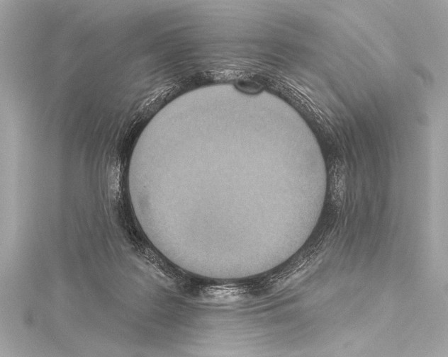 X0000115420219200912011333