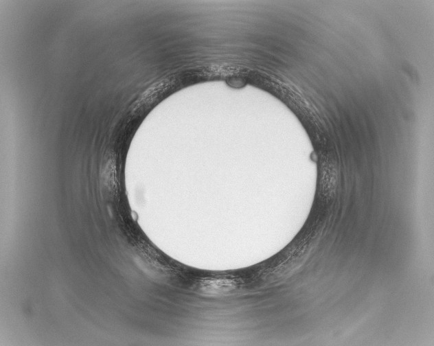 X0000115420220200912011333