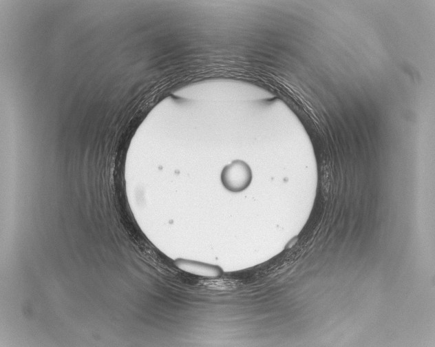 X0000115420221200912011333