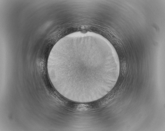 X0000115420222200912011333