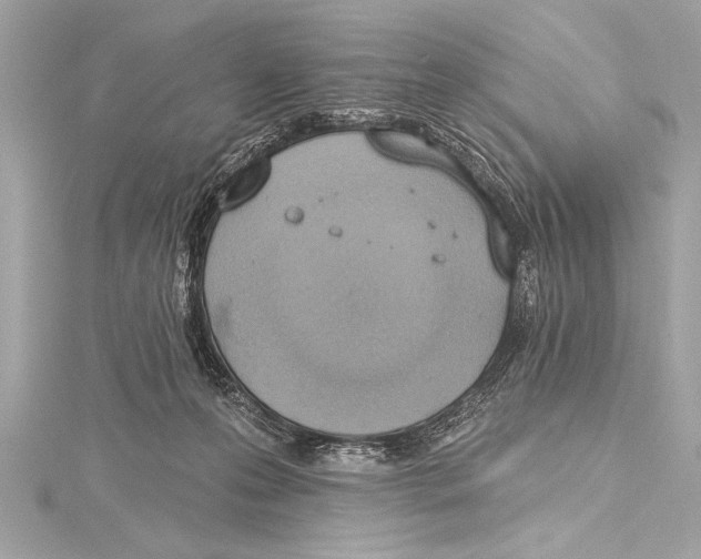 X0000115420223200912011333