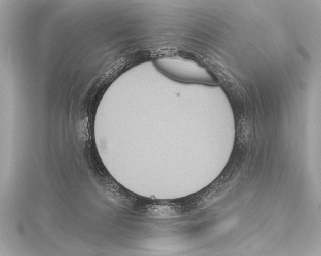 X0000115420224200912011333