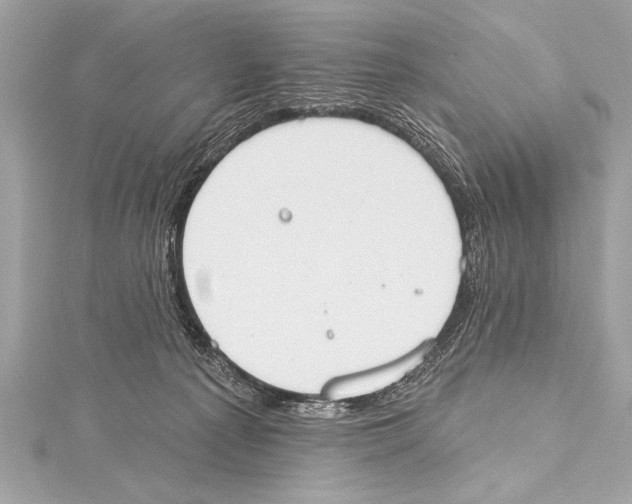 X0000115420225200912011333