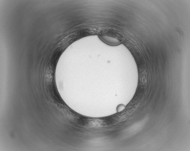 X0000115420226200912011333