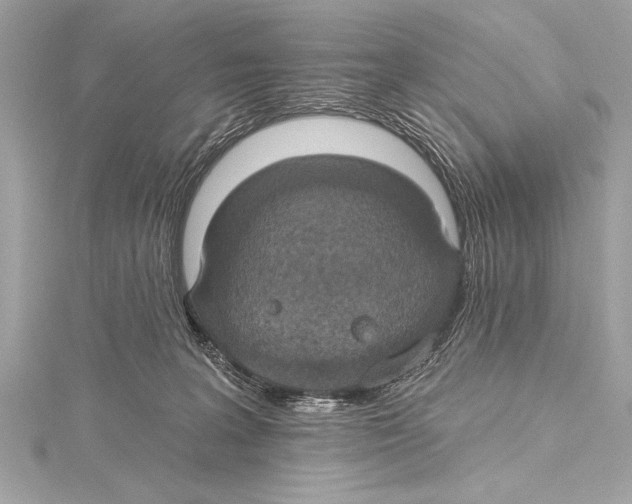 X0000115420227200912011333