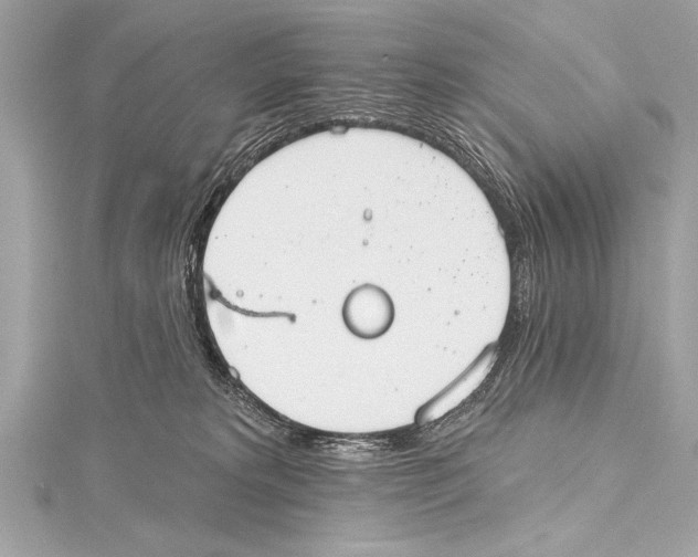 X0000115420229200912011333