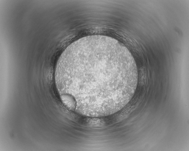 X0000115420230200912011333