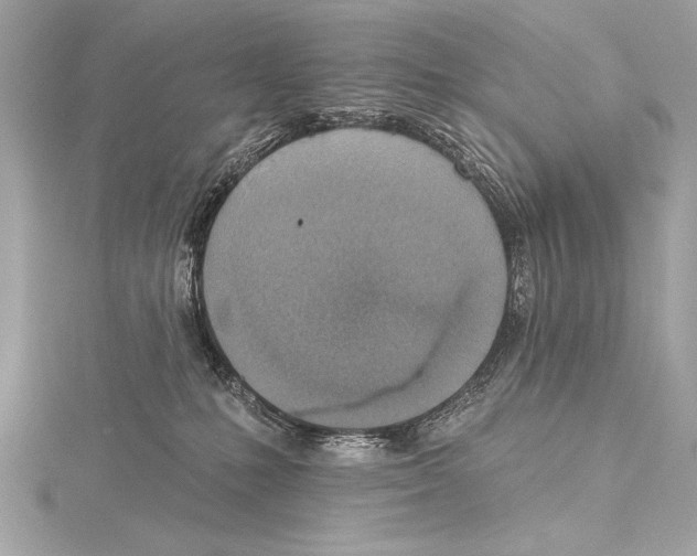 X0000115420231200912011333