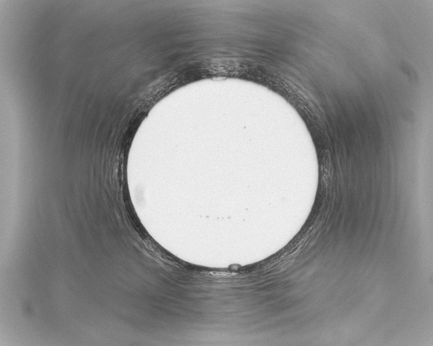 X0000115420233200912011333