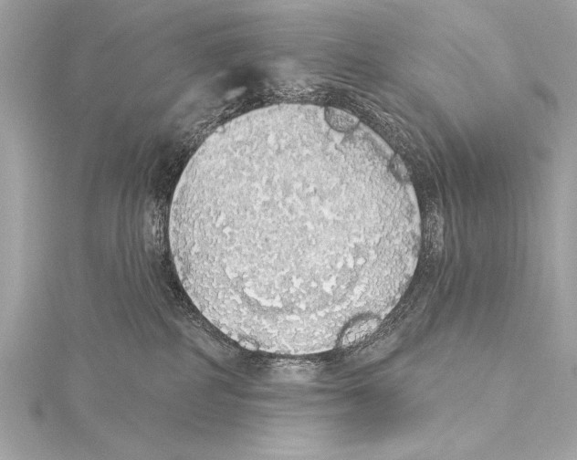 X0000115420234200912011333