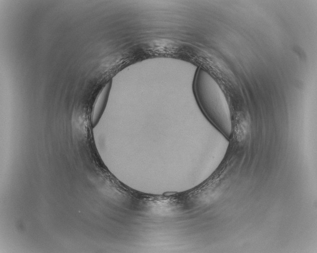 X0000115420235200912011333