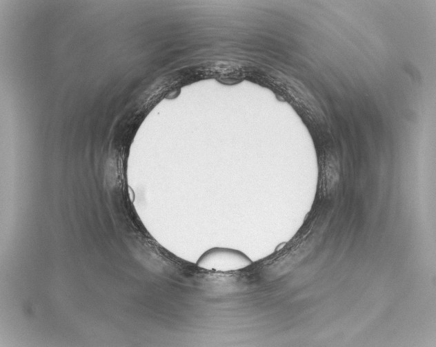 X0000115420236200912011333