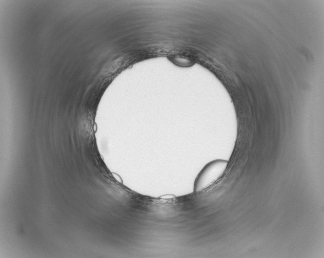 X0000115420240200912011333