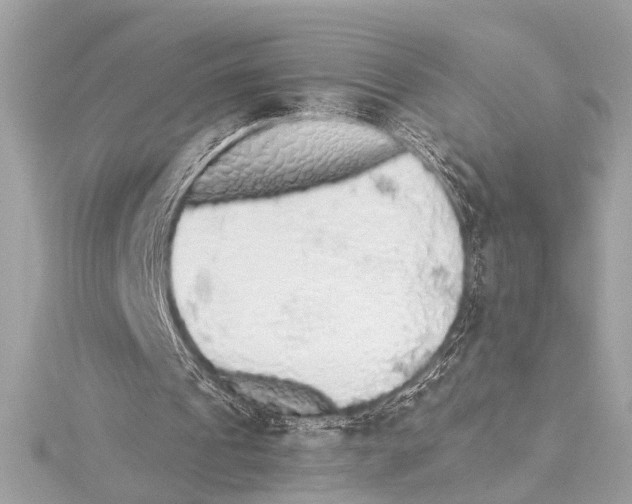 X0000115420241200912011332