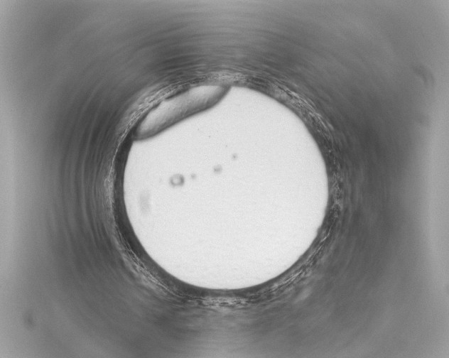 X0000115420242200912011332