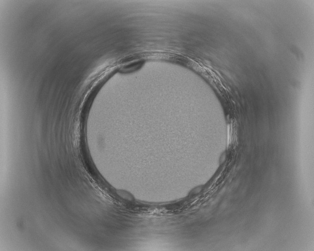 X0000115420243200912011332