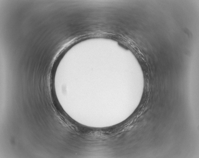 X0000115420244200912011332