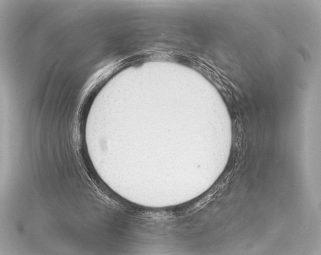 X0000115420245200912011332