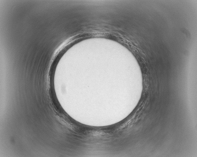 X0000115420246200912011332