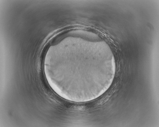 X0000115420247200912011332