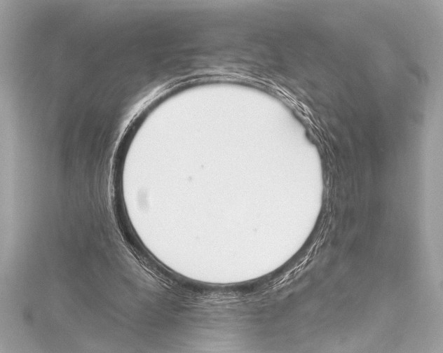 X0000115420248200912011332