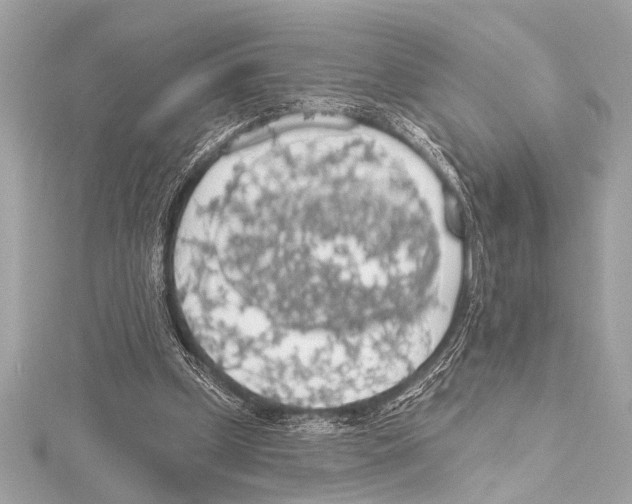 X0000115420249200912011332