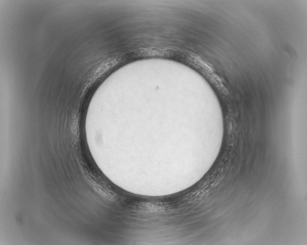 X0000115420250200912011332